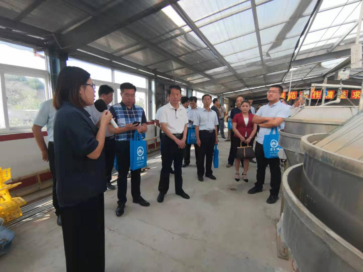 德州市弄农业农村事业发展中心领导一行莅临 3499手机版拉斯维加斯,3499拉斯维加斯集团旗下农业产业清洋湖科技有限公司考察指导
