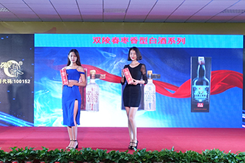 第29届中国（乐陵）金丝小枣文化节 暨第五届百枣纲目（集团）新品发布会第一场活动圆满结束 百枣纲目（集团）大型经销商、采购商主场