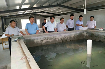 清洋湖：联手打造生态养殖 促水产养殖业多元化发展