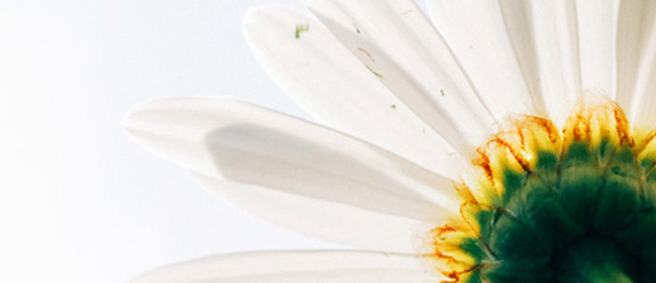 6731������Ϸ(�й���)-�ٷ���վ