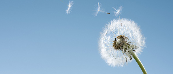 6731������Ϸ(�й���)-�ٷ���վ